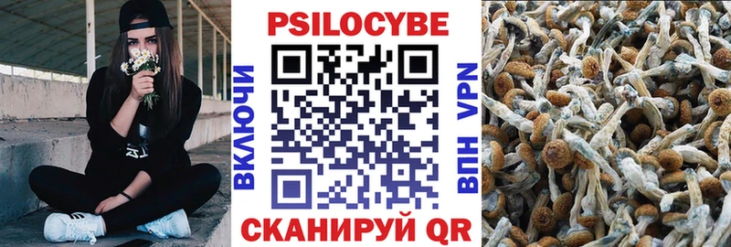 Галлюциногенные грибы Psilocybine cubensis  хочу   Кораблино 